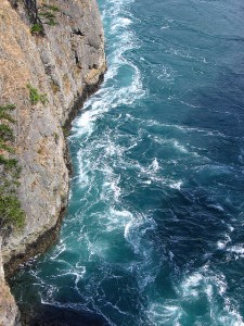 cliff water chas redmond