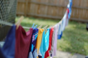 clothes line traci todd