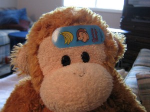 band-aid by benjamin gray